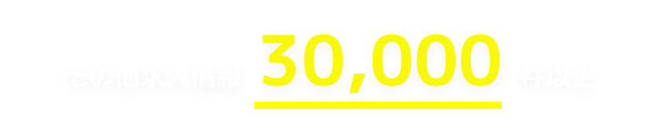 その他求人情報  30,000 件以上